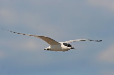 IMG_4855.JPG