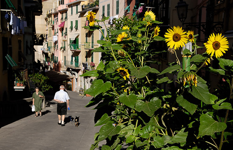 Riomaggiore
