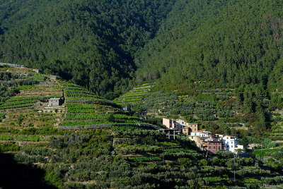 Village and vineyards, near Valostra