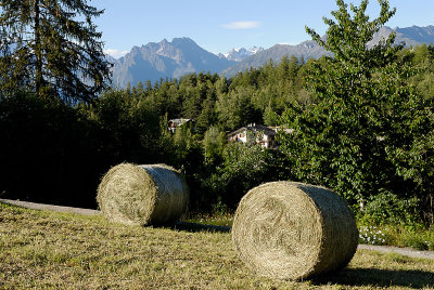 But who eats all the hay?