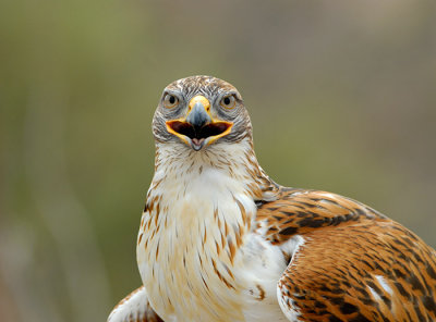 Tucs22.jpg
