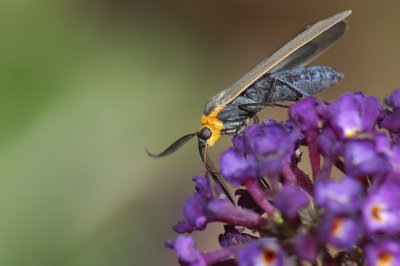 DSC_3247.jpg