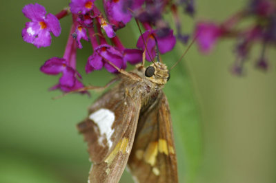 DSC_3199.jpg