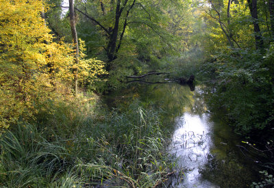 Lobau