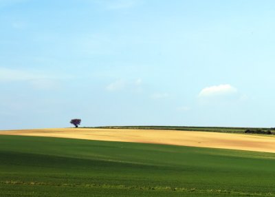 Weinviertel