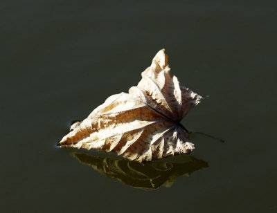 Herbst 