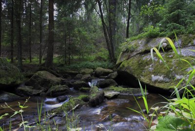 Waldviertel