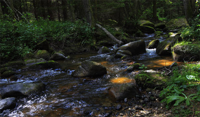 Waldviertel