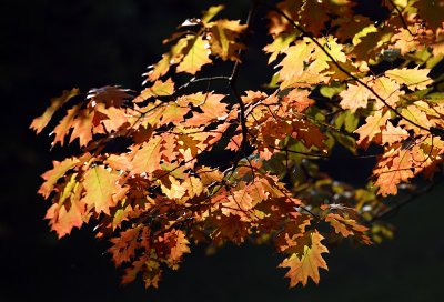 Herbst 2007