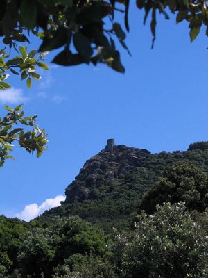 Vers le cap Corse Tour de Snque_8883r.jpg
