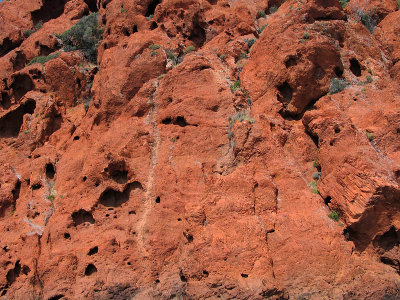 Rserve naturelle de Scandola_9067r.jpg