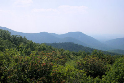 AIMG_1600.jpg