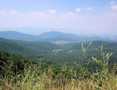AIMG_1563.jpg