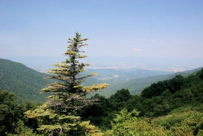 AIMG_1549.jpg