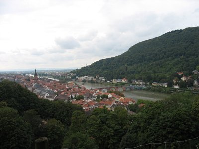 IMG_1175.jpg