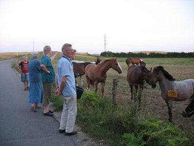Feeding the family pony (on the right)