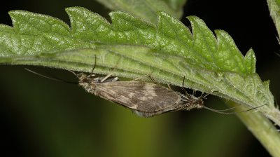 STP_3222.jpg