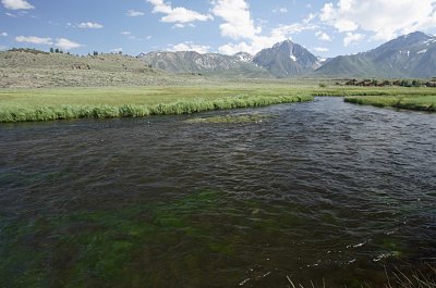 Ideal trout country
