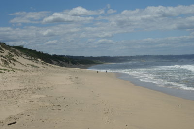 SA 2006 2007 241net1.jpg