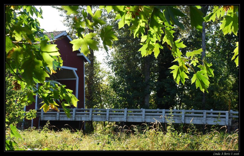 Shimanek bridge