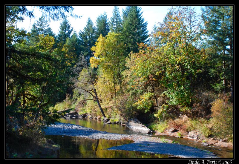 DSC_0124f copy.jpg