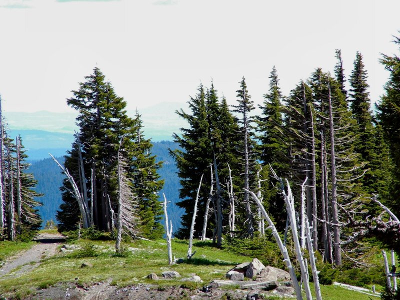 DSCF9664.JPG