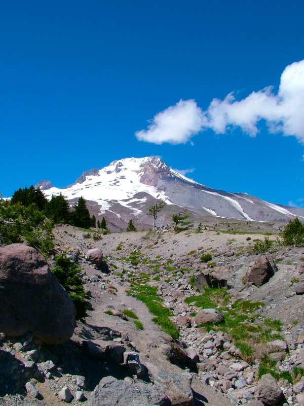 DSCF9667.JPG