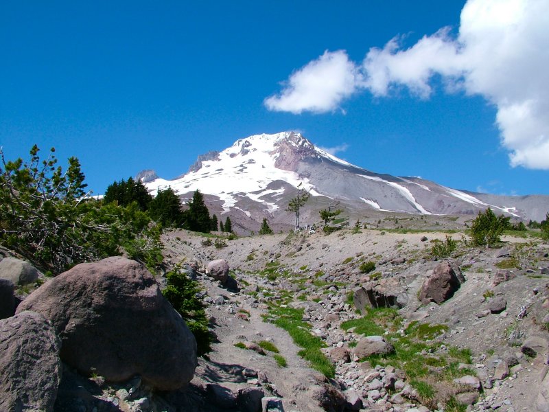 DSCF9668.JPG