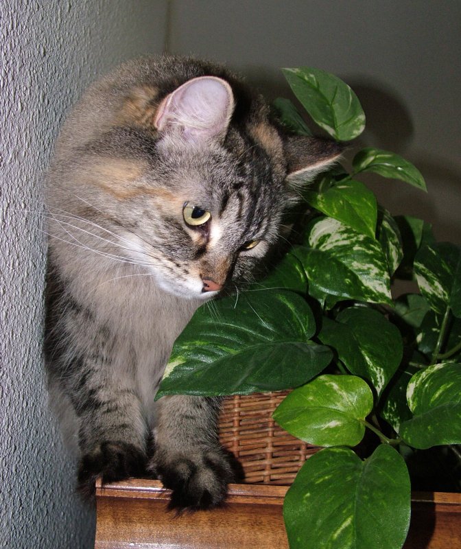 DSCF9574.JPG