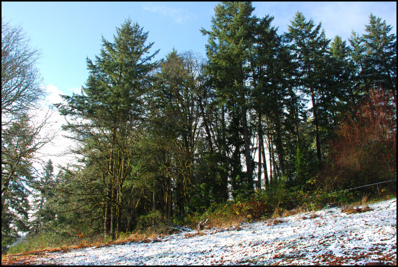 DSC_0036.JPG