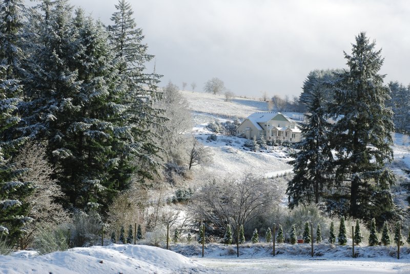 DSC_0003.JPG