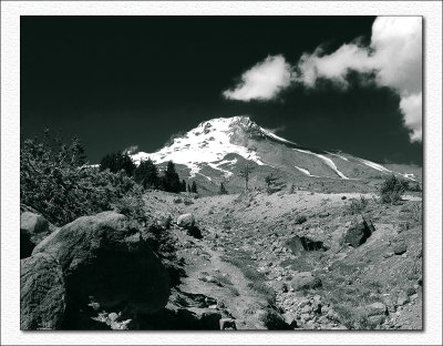 Mt. Hood in B&W