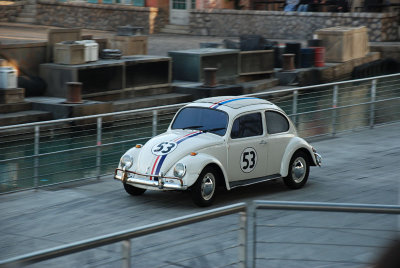 DSC_0022.jpg