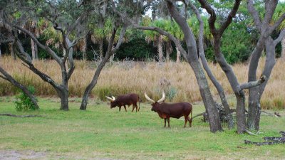 DSC_0014.jpg