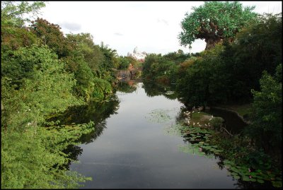 DSC_0041.jpg