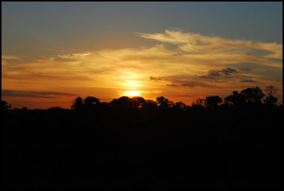 DSC_0009.jpg