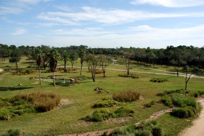 DSC_0014.jpg