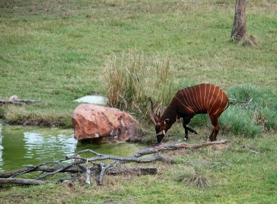 DSC_0076.jpg