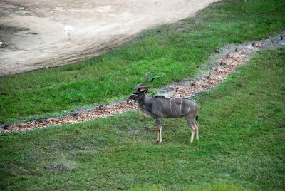 DSC_0106.jpg