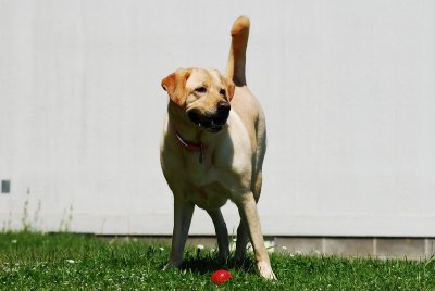 DSC_0021.JPG