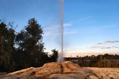 Geyser at Wilderness Lodge