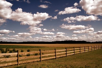 Farm Fence II