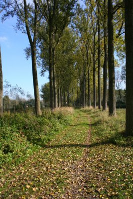 Moerbeke