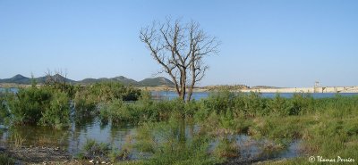North of Emphida