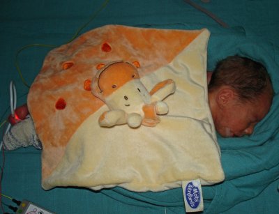 Baptiste et son doudou (1772)