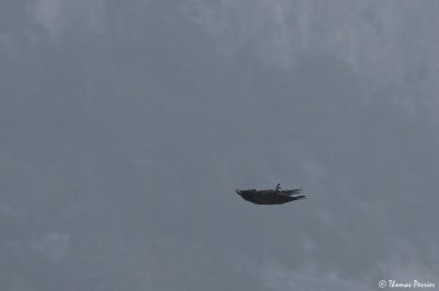 g6/31/698631/3/74449830.KxSV8Dac.jpg