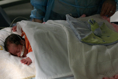 Florian dans son lit (1235)