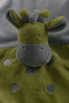 Le doudou de Florian (1242)