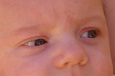 les yeux de braise de Baptiste (P0542)
