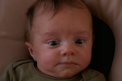 Baptiste (P0565)